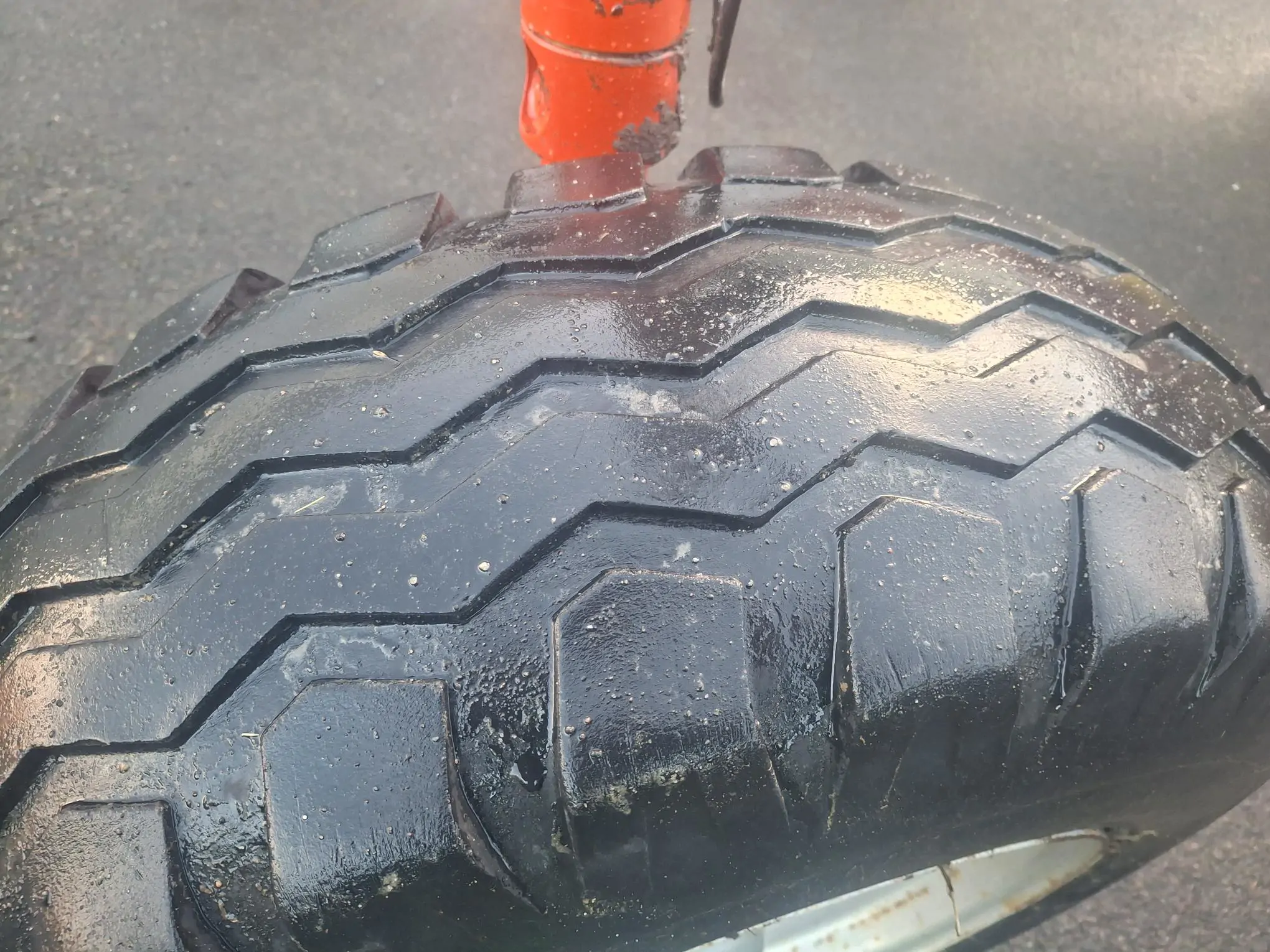 Image FELLA ANDAINEUR FELLA MEGA SWAD