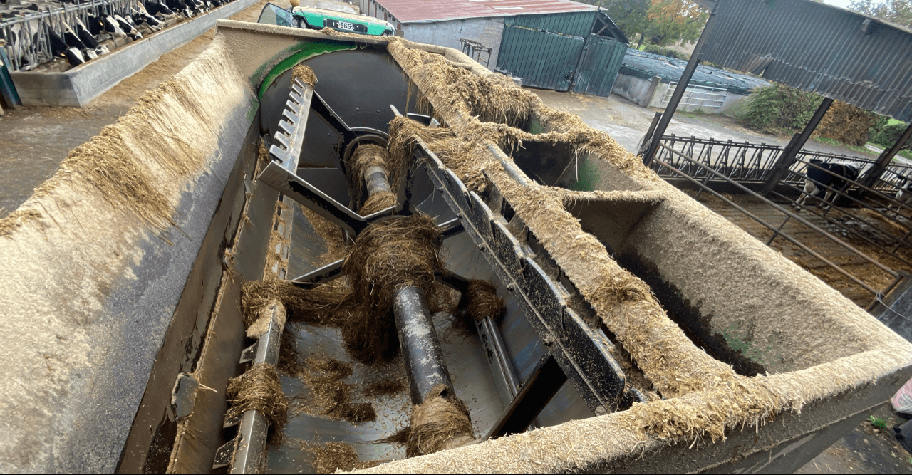 Image KEENAN MELANGEUSE KEENAN OCCASION