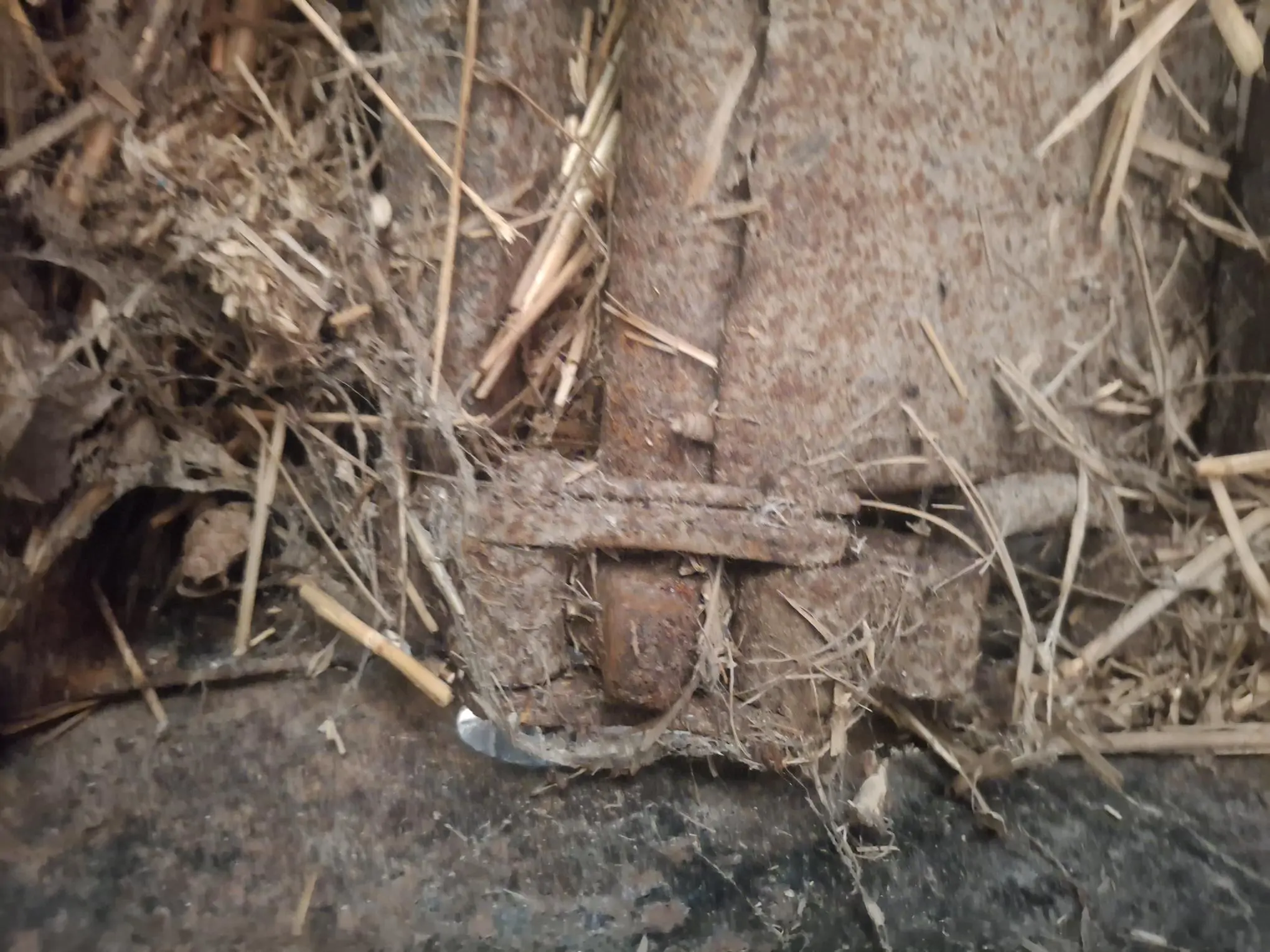 Image CALVET PAILLEUSE CAQUEVEL PORTÉE