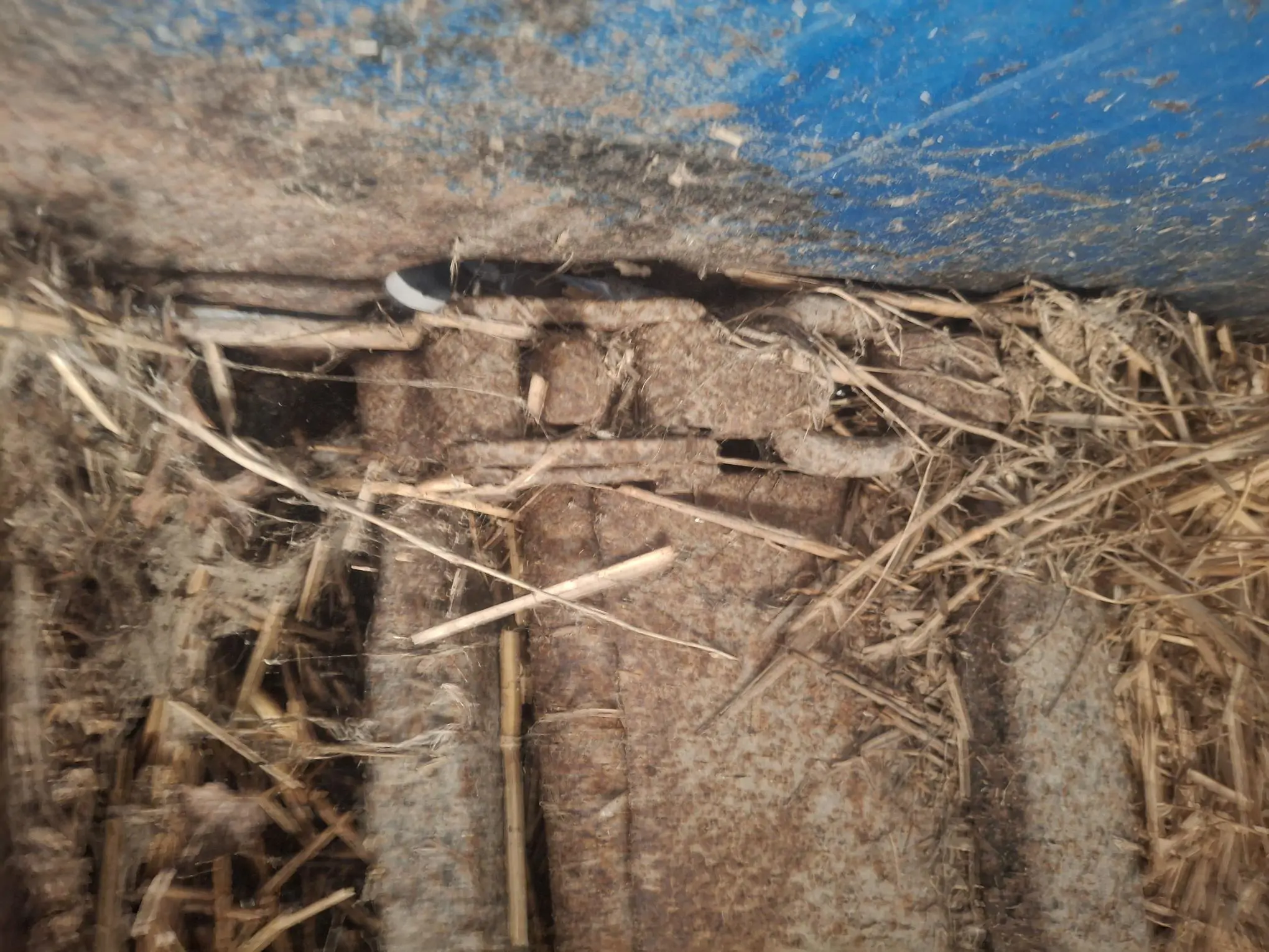 Image CALVET PAILLEUSE CAQUEVEL PORTÉE