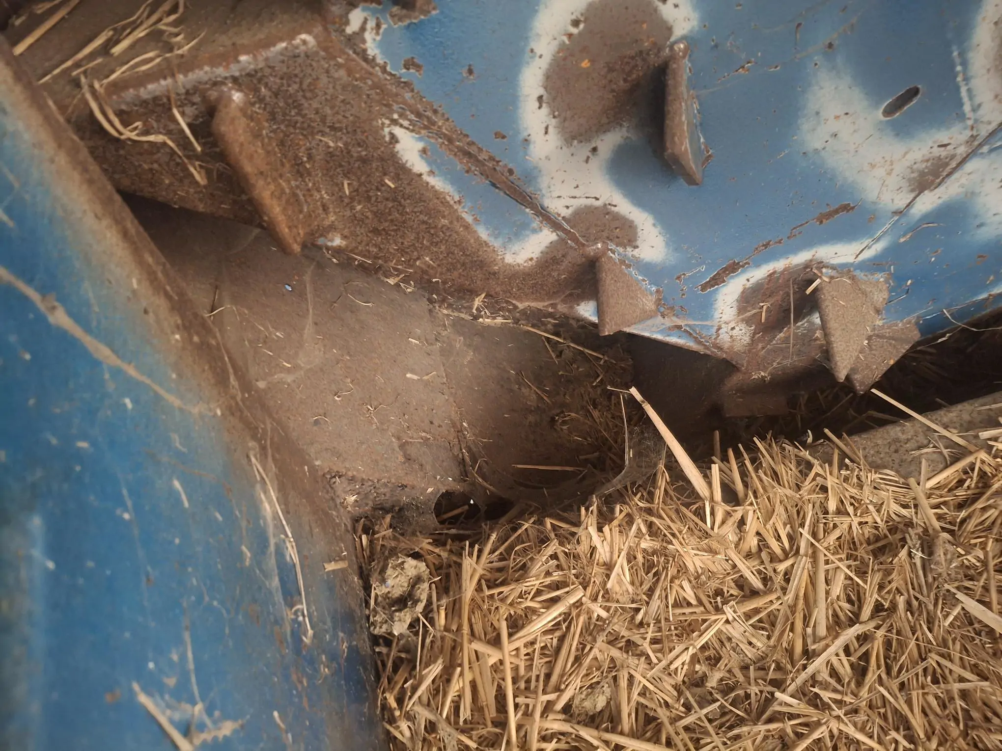 Image CALVET PAILLEUSE CAQUEVEL PORTÉE