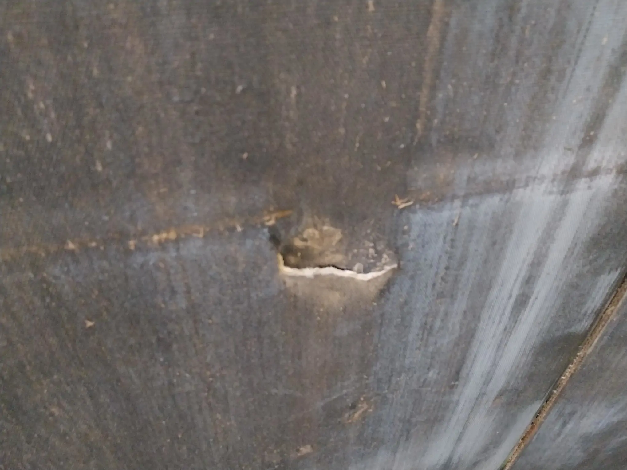 Image JOHN DEERE ROUND BALLER 990 HC